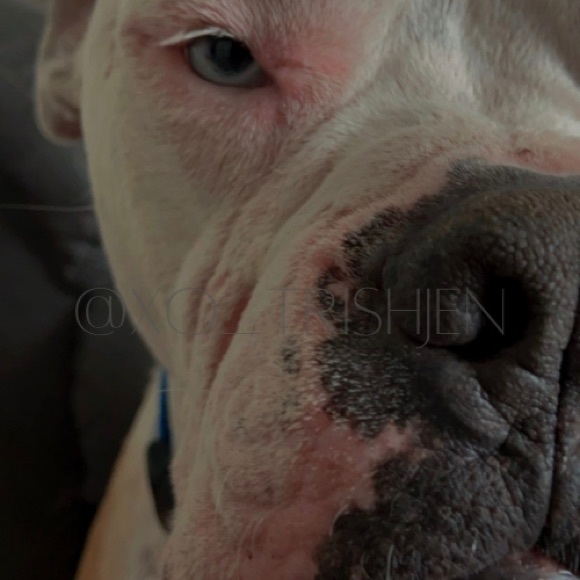 • ᴍᴇᴇᴛ ᴛʜᴇ ᴘᴏꜱʜᴇʀ • - Picture 3 of 4